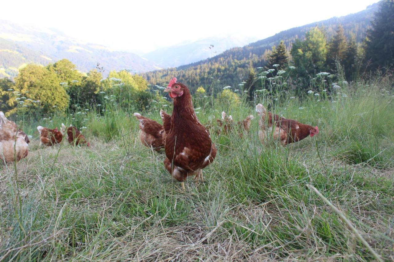 Appartement Stallfeldhof Hopfgarten im Brixental Dış mekan fotoğraf